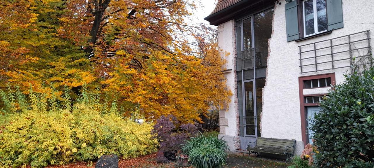 Villaflora Gaestehaus Riedlingen Eksteriør billede