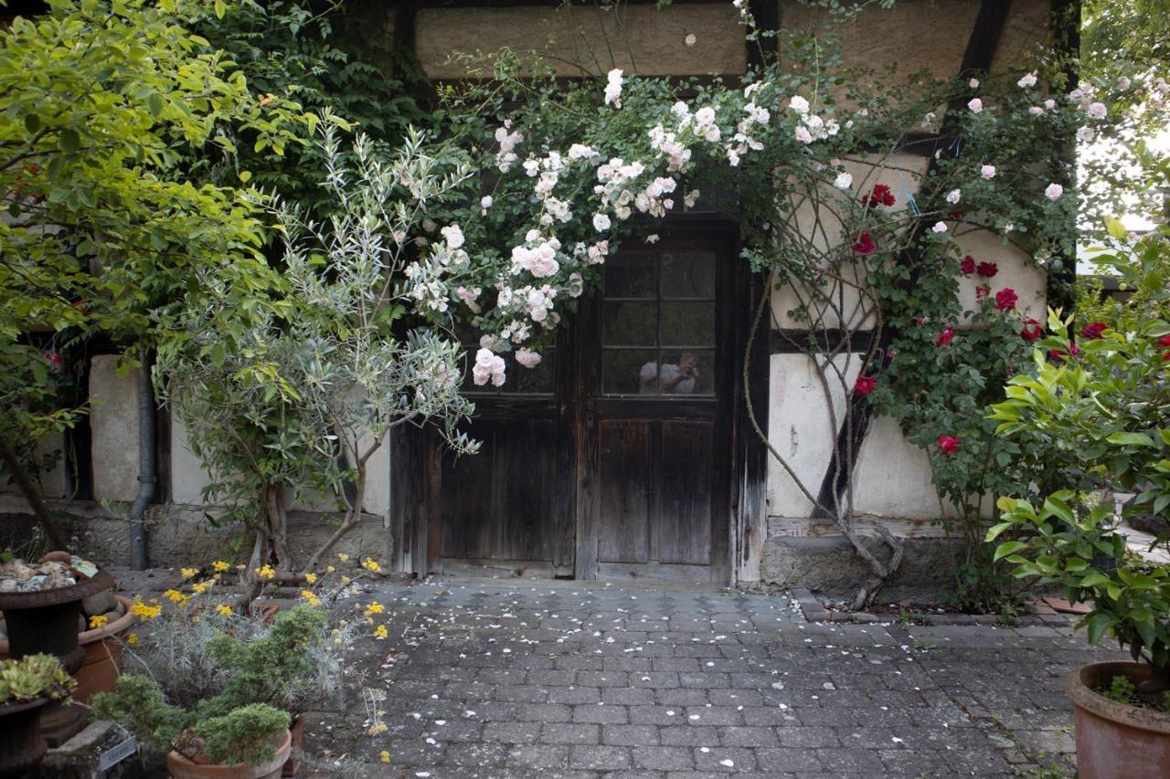 Villaflora Gaestehaus Riedlingen Eksteriør billede